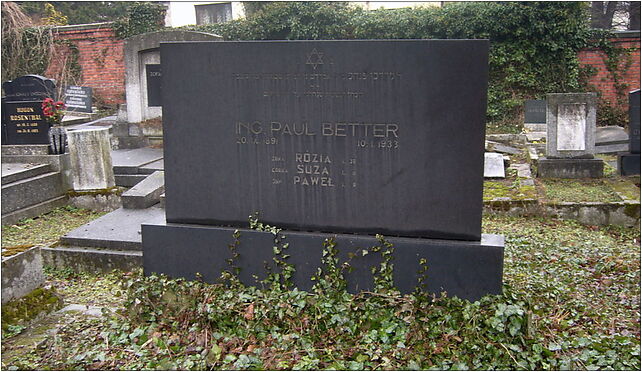 Paul Better grave, Damrota Konstantego 7b, Bielsko-Biała 43-300 - Zdjęcia