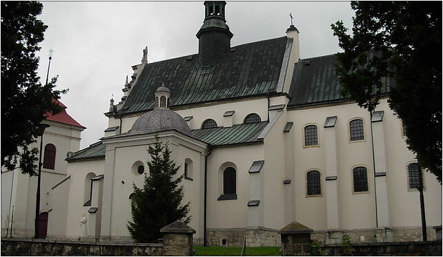 Pińczów church - 03, Złota 2, Pińczów 28-400 - Zdjęcia