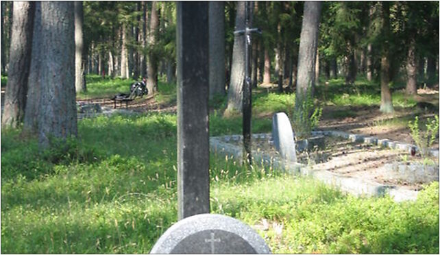Piaśnica Forest - Mass grave 03, Warszkowo - Zdjęcia