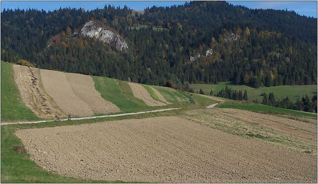 Pieniny Czorsztyńskie a3, Rokitki, Rokitki 34-450 - Zdjęcia