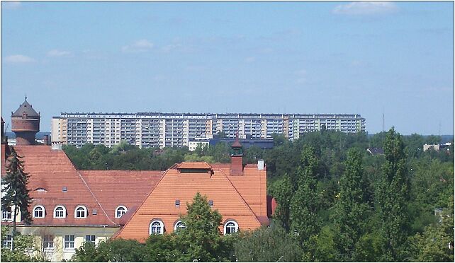 PL Opole chabry, Dubois Stanisława 41/43, Opole 45-070 - Zdjęcia