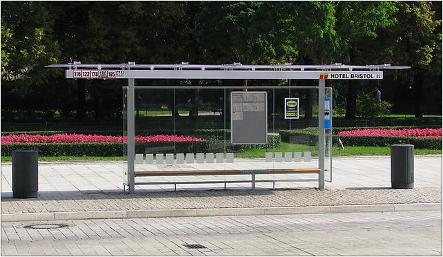 PL Warszawa przystanek autobusowy Krakowskie Przedmiescie, Warszawa 00-068 - Zdjęcia
