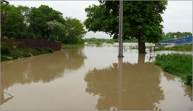 PL - Mielec - flood 2010 - Kroton 004, Rzeczna 8, Mielec 39-300 - Zdjęcia