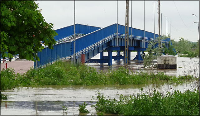 PL - Mielec - flood 2010 - Kroton 005, Rzeczna 8, Mielec 39-300 - Zdjęcia