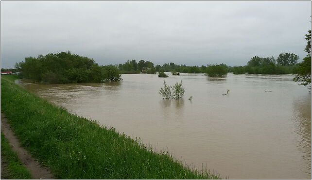 PL - Mielec - flood 2010 - Kroton 011, Połaniecka, Mielec 39-300 - Zdjęcia