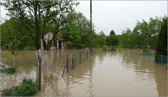 PL - Mielec - flood 2010 - Kroton 015, Kilińskiego Jana, Mielec 39-300 - Zdjęcia