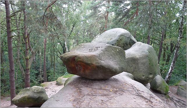 PL - Nature reserve Skamieniale Miasto - Kroton 002, Krynicka 33-191 - Zdjęcia