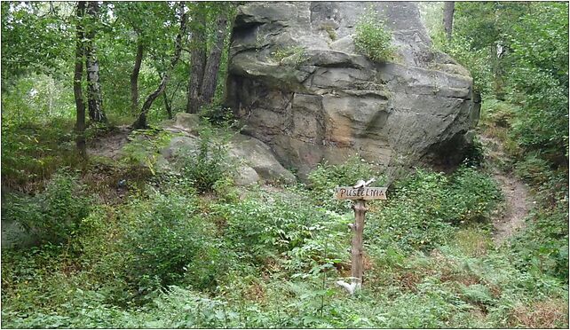 PL - Nature reserve Skamieniale Miasto - Kroton 004, Krynicka 33-191 - Zdjęcia