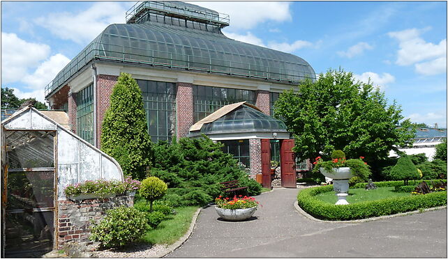 PL - Walbrzych - Palm House in Lubiechow - Kroton 040, Wrocławska 58-306 - Zdjęcia