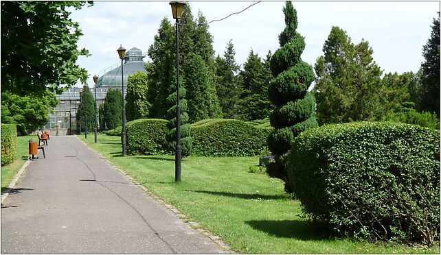 PL - Walbrzych - Palm House in Lubiechow - Kroton 042, Wrocławska 58-306 - Zdjęcia