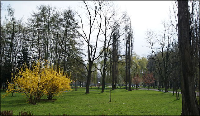 Planty Bienczyckie Park,Wysokie Estate,Nowa Huta,Krakow,Poland 31-802 - Zdjęcia