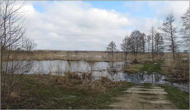 Podlaskie - Choroszcz - Rzędziany-Pańki Narew floodplains - 0,57km - ENE 16-070 - Zdjęcia