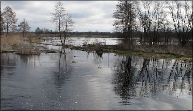 Podlaskie - Choroszcz - Rzędziany-Pańki Narew floodplains - 0,6km - E 16-070 - Zdjęcia