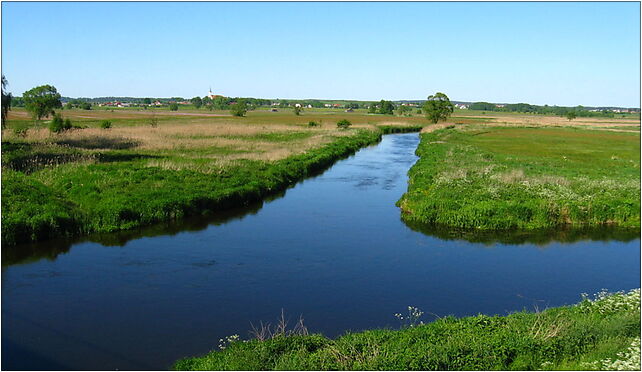 Podlaskie - Choroszcz - Suprasl river and Biala river confluence - bdg DK65 near Dzikie 15-694 - Zdjęcia