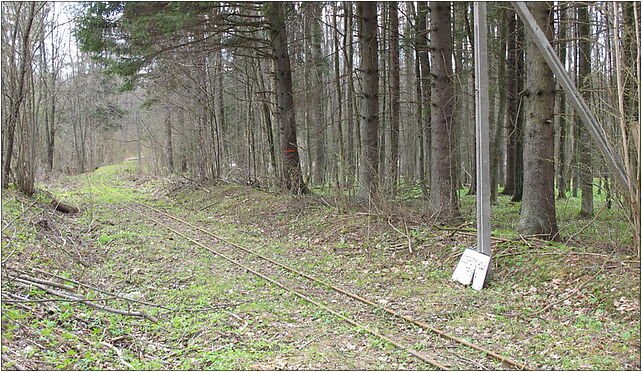 Podlaskie - Czarna Białostocka - KFNGR - Czeremchowa Tryba - peron - E 16-060 - Zdjęcia