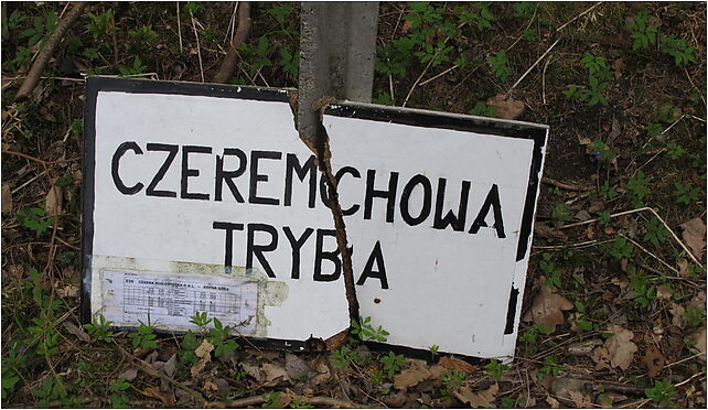Podlaskie - Czarna Białostocka - KFNGR - Czeremchowa Tryba - peron - rozkład@2009 16-060 - Zdjęcia