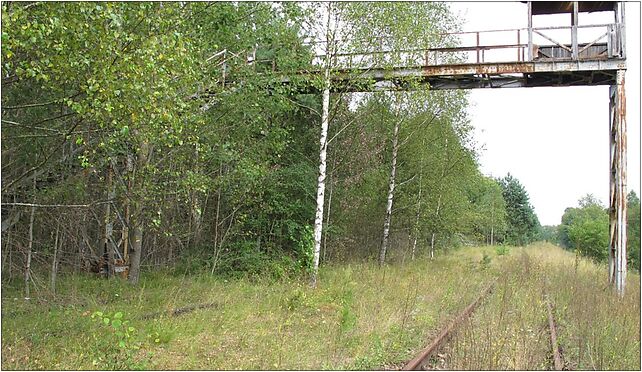 Podlaskie - Gródek - SK Zubki Białostockie - platforma rewizyjna - v-E 16-040 - Zdjęcia