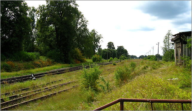 Podlaskie - Grodek - Walily-Stacja - Walily train station - tracks vw. from xing 16-040 - Zdjęcia