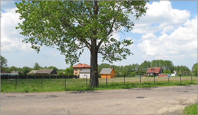 Podlaskie - Juchnowiec Kościelny - Niewodnica Nargilewska - E 16-061 - Zdjęcia