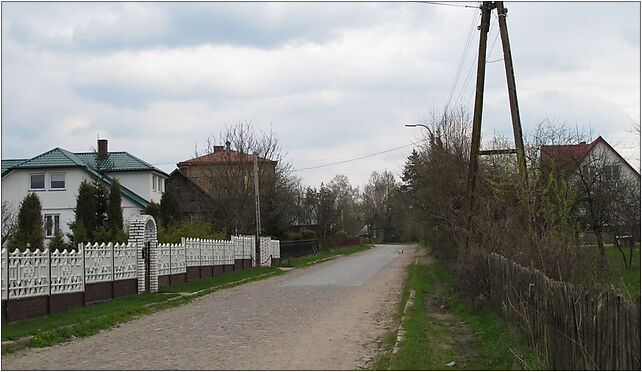 Podlaskie - Juchnowiec Kościelny - Szerenosy - Droga - W - v-E 16-061 - Zdjęcia