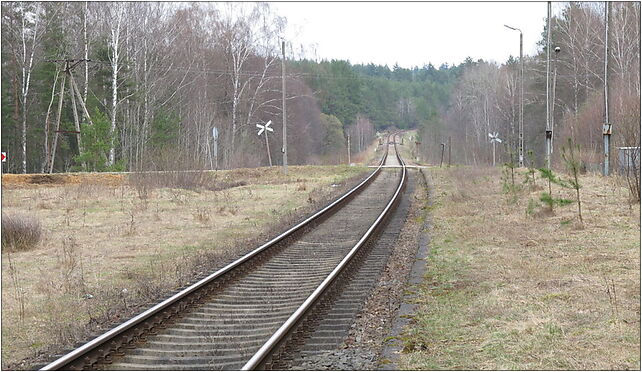 Podlaskie - Michałowo - Sokole - Sokole Białostockie-stacja - platform - h ENE 16-050 - Zdjęcia