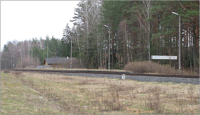 Podlaskie - Michałowo - Sokole - Sokole Białostockie-stacja - road 16-050 - Zdjęcia