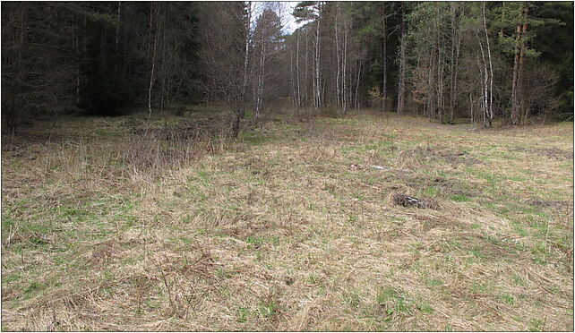 Podlaskie - Supraśl - KFNGR - Podsokołda - E, Podsokołda Gajówka 16-030 - Zdjęcia