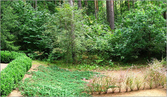 Podlaskie - Suprasl - Kopna Gora - Arboretum - panorama2 16-030 - Zdjęcia