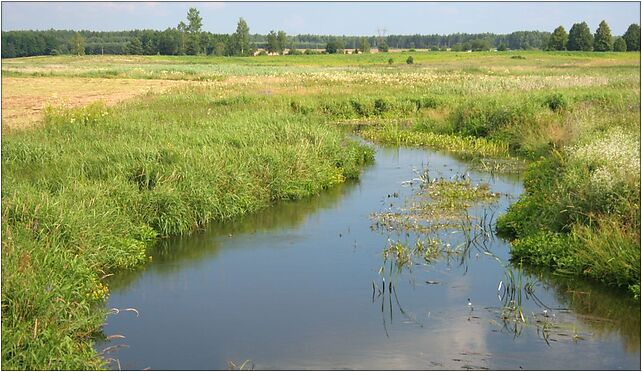 Podzałuki - Supraśl river, Podzałuki, Podzałuki 16-040 - Zdjęcia