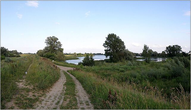 POL Dziekanow Nowy lake Panorama, Rolnicza, Nowy Dziekanów 05-092 - Zdjęcia