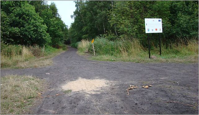POL kołobrzeg 20100729 1, Plażowa, Kołobrzeg 78-100 - Zdjęcia