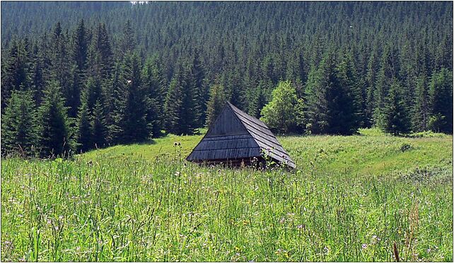 Polana Olczysko, Kuźnice, Zakopane 34-500 - Zdjęcia