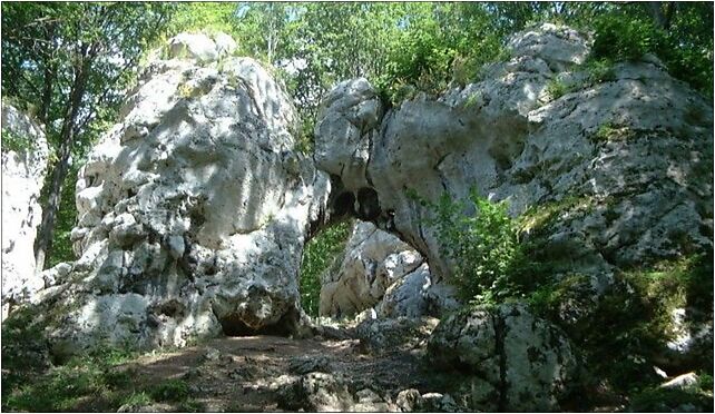 Poland Parkowe reserve - Twardowskiego gate, Siedlec 42-253 - Zdjęcia