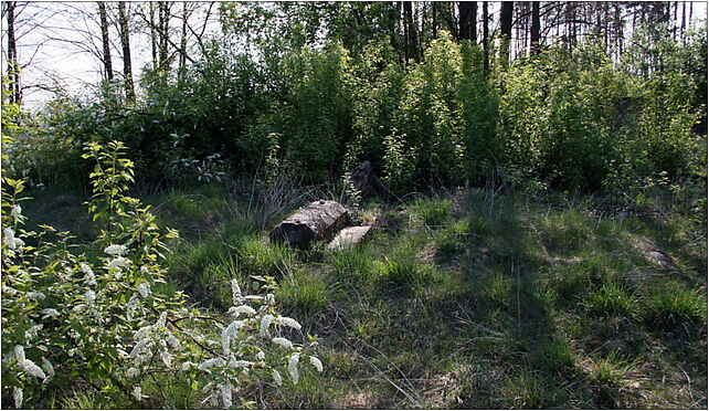 Poland Suraż Jewish Cemetery, 11 Listopada, Suraż 18-105 - Zdjęcia