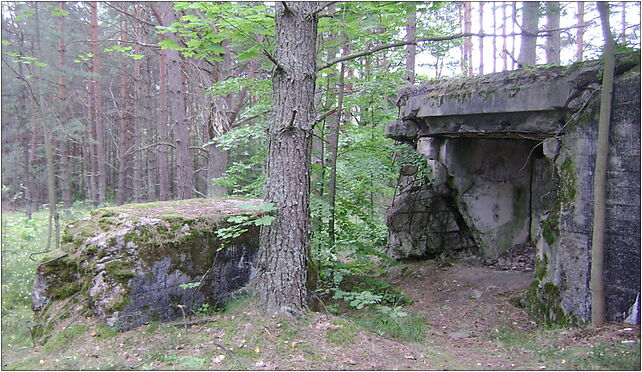 Poland. Gmina Jedwabno. Czarny Piec 004, Czarny Piec, Czarny Piec 12-122 - Zdjęcia