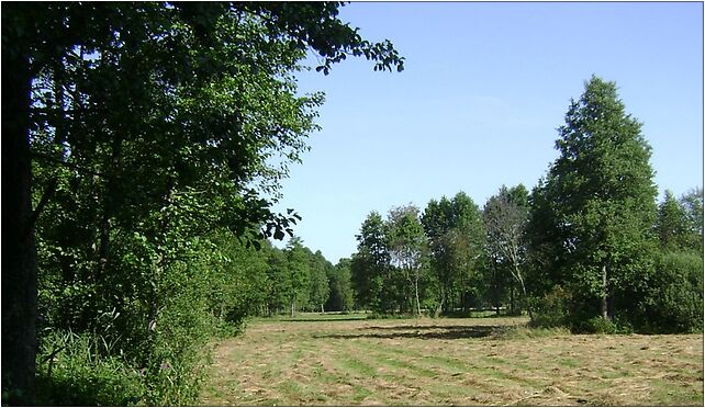 Poland. Gmina Jedwabno. Forests 015, Sędańsk, Sędańsk 12-100 - Zdjęcia