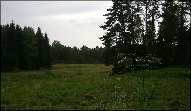 Poland. Gmina Pasym. Forests 004, Grom, Grom 12-130 - Zdjęcia