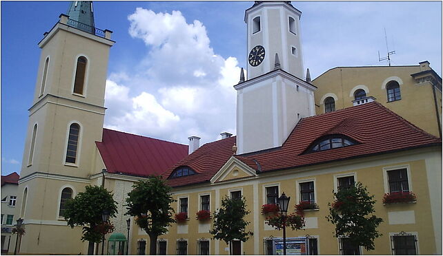 Polkowice rynek, Legnicka, Polkowice 59-100 - Zdjęcia