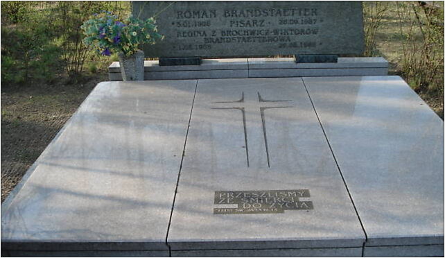 Poznan nagr Brandstaetter, Kępa, Poznań 61-021 - Zdjęcia