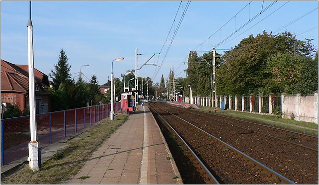 Pruszkow, WKD Tworki 2, Kręta 19, Pruszków 05-802 - Zdjęcia