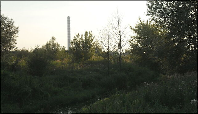 Pruszkow, Utrata przy wysypisku, Przejazdowa, Pruszków od 05-800 do 05-804 - Zdjęcia