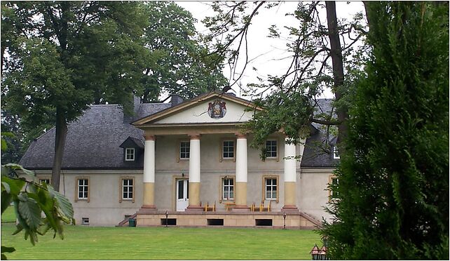 Pszczyna-Ludwikowka, Tulipanów, Pszczyna 43-200 - Zdjęcia