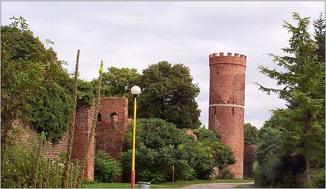 Pyrzyce Baszta Lodowa, 1 Maja106 5, Pyrzyce 74-200 - Zdjęcia
