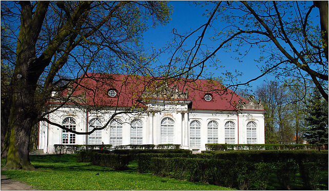 Radzyn Podlaski oranzeria widok1, Zamkowa 2, Radzyń Podlaski 21-300 - Zdjęcia