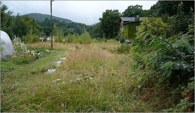 Railway station reichenstein from the north, Kolejowa, Złoty Stok 57-250 - Zdjęcia