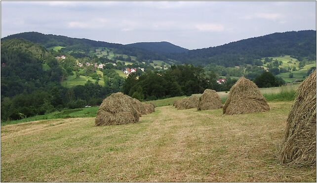 Rajbrot PW3, Iwkowa, Iwkowa 32-861 - Zdjęcia