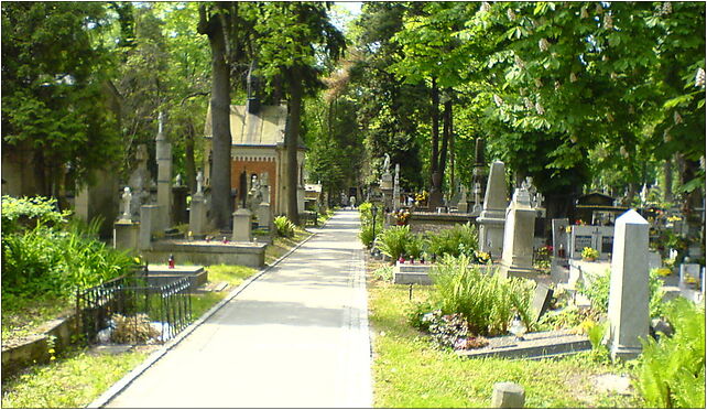 Rakowicki Cementary, Cracow, Poland 1, Prandoty Jana, bp., Kraków 31-435 - Zdjęcia
