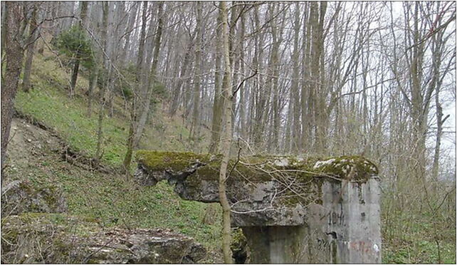 Remains of soviets bunker near Załuż (Sobień) (closeup), Łąki 38-534 - Zdjęcia