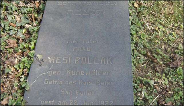 Resi Pollak grave, Damrota Konstantego 9a, Bielsko-Biała 43-300 - Zdjęcia