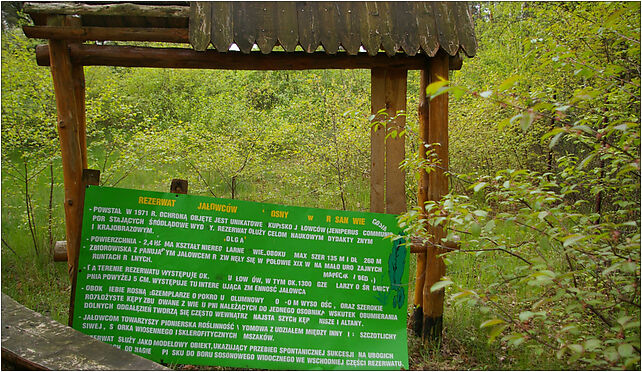 Rezerwat Ciosny, information board, Jałowcowa, Rosanów 95-100 - Zdjęcia
